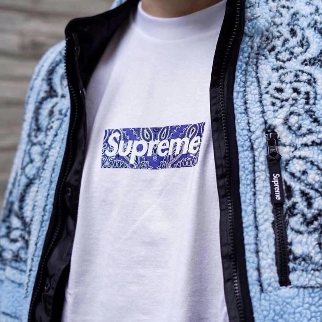 SUP Box Logo Zebra Blue Print T-Shirt in White - 515 - spm0000515 - Image 10